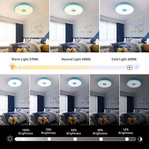 Sky Blue Waterproof LED Flush Mount Ceiling Light Fixture