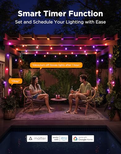 S14 Bulb Outdoor String Lights 2 (144 Foot)