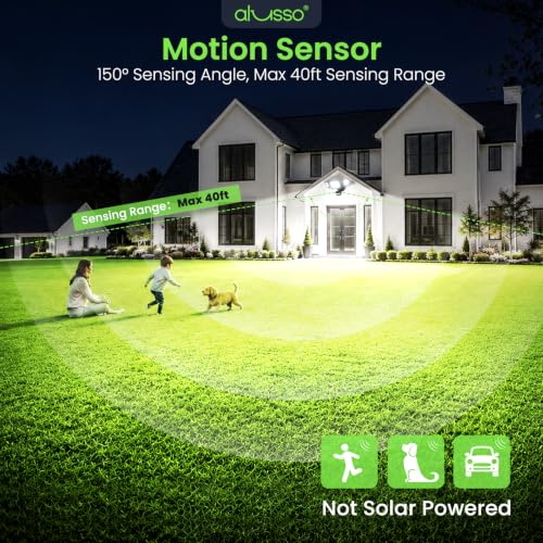 Motion Sensor Outdoor Lights