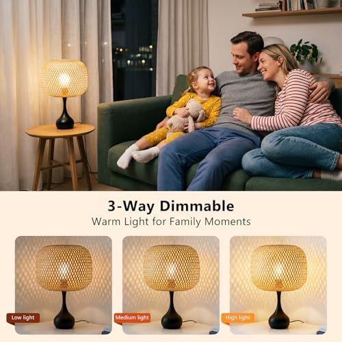Touch Bedside Lamp for Bedroom
