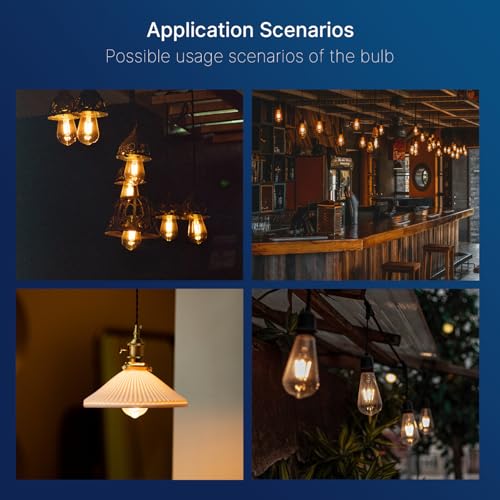 7W LED Edison Bulbs (6 Count)