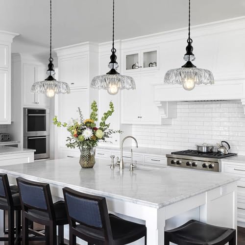 Vintage Glass Pendant Light Fixture Black Modern Adjustable Chandelier Hanging Light for Farmhouse Dining Room Kitchen Bedroom Hallway Island