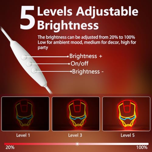 Anime Theme Cartoon LED Neon Sign for Wall Decor (Iron)