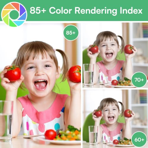 A19 LED Light Bulbs (24 Count)