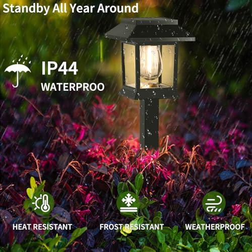 Solar Lights Outdoor (6 Count)