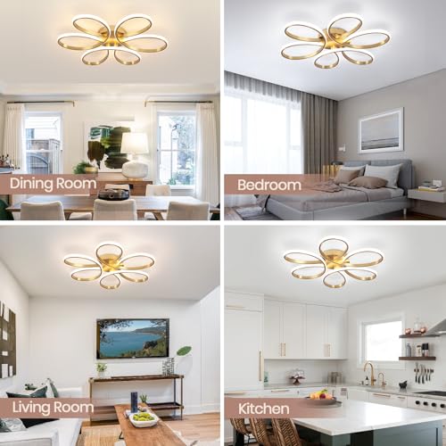 26inch Modern LED Ceiling Light