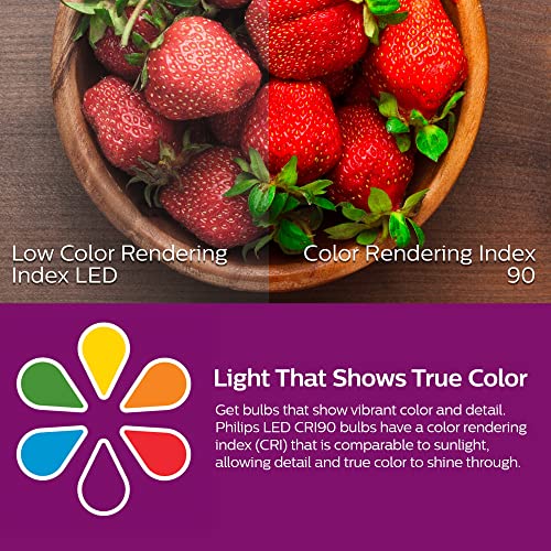 LED Basic Frosted Non (4 Count)