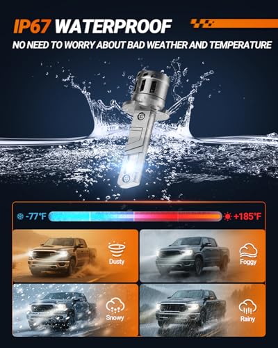 S1P Fog Bulbs Combo