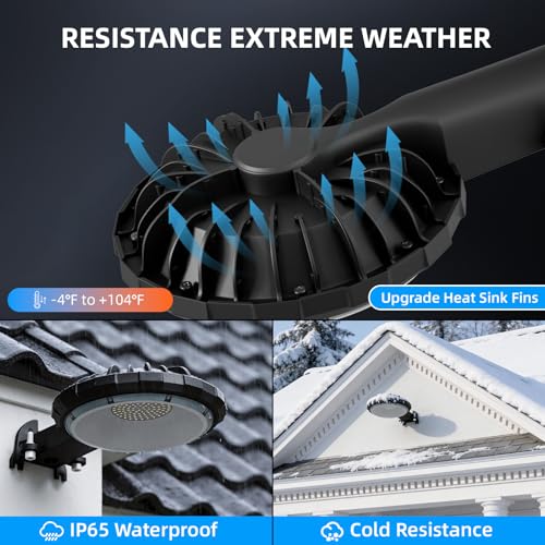 100W LED Barn Light with 10000LM 5000K Warm Light (2 Count)