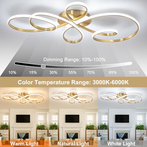 20inch Modern LED Ceiling Light