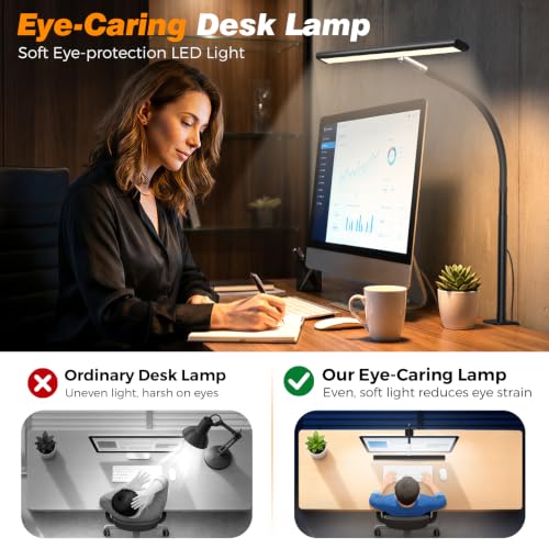 LED Desk Lamp with Clamp
