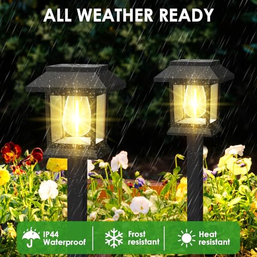 Solar Outdoor Lights (12 Count)