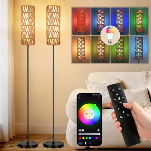 Boho Floor Lamp for Living Room with Smart RGB Bulb (2-Black)
