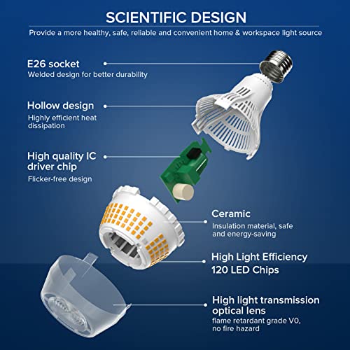 200W Equivalent Bright Light Bulbs 2 (2 Count)