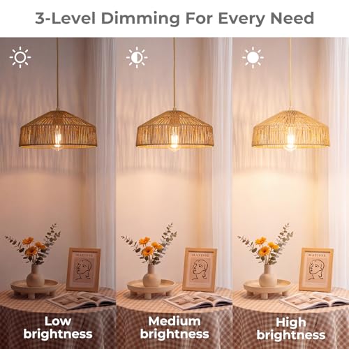 Boho Plug in Pendant Light