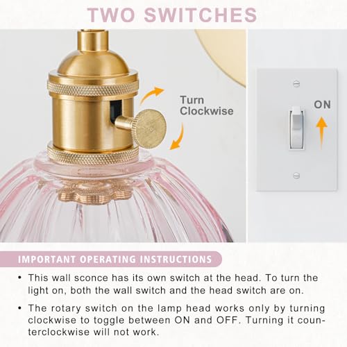 Hardwired Wall Sconce Light