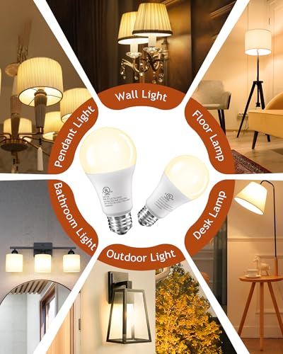 LED Light Bulbs (6 Count)