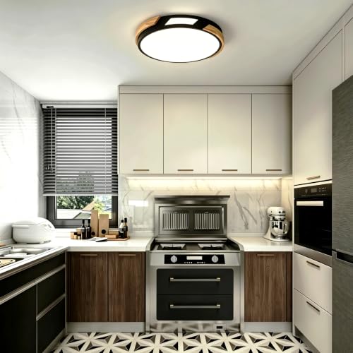 Modern LED Ceiling Light