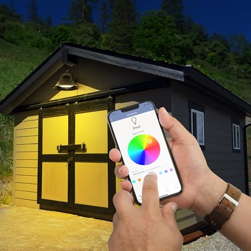 PAR38 LED Smart LED Light Bulb