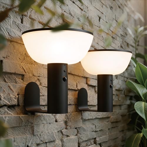 Solar Wall Lights (2 Count)