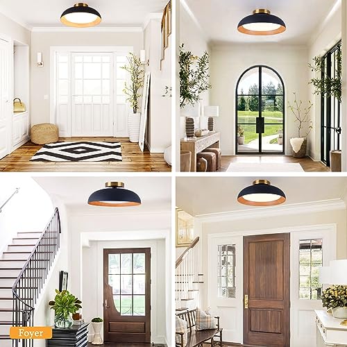 Flush Mount Ceiling Light