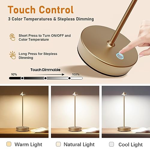 Set of 2 Cordless Rechargeable Led Table Lamp Battery Operated Light Bronze (2 Count)