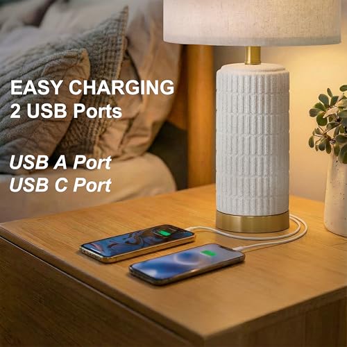 21.5'' Stone Like Bedside Table Lamps Set of 2 for Bedroom with 2 USB A+C (2 Count)