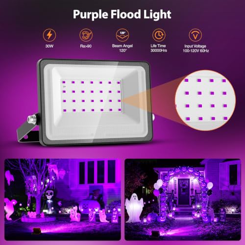 Purple Halloween Lights (Purple)