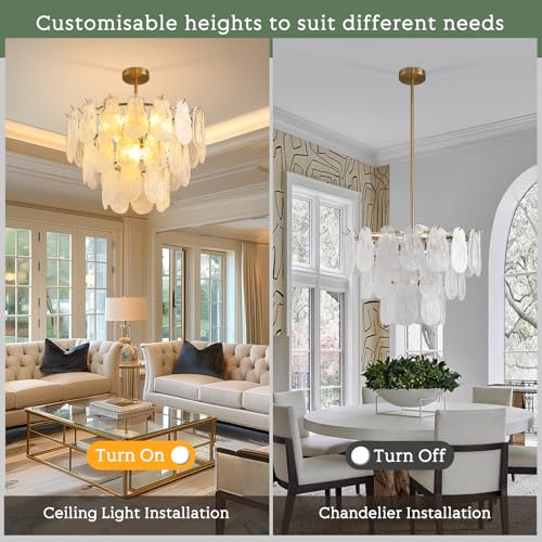Modern Gold Chandelier Lighting