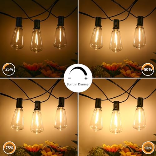 3 Color in 1 LED Outdoor String Lights with Remote