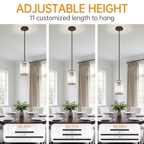 Black Pendant Light (2 Count)