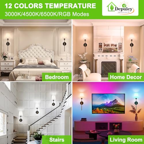Battery Operated Wall Sconce