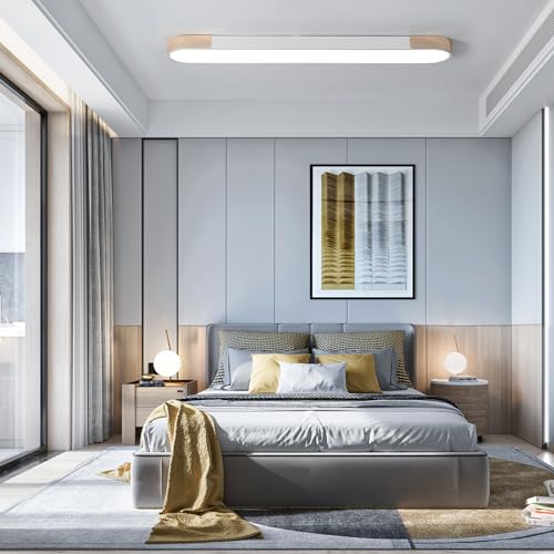 Modern LED Ceiling Light