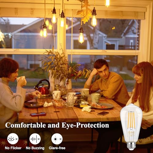Dimmable Edison Bulbs 100W Equivalent (2 Count)