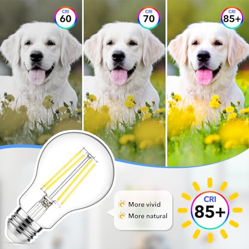 60W Equivalent E26 LED Filament Light Bulbs (12 Count)