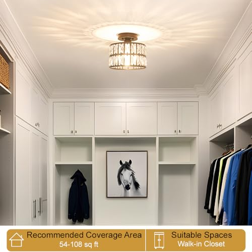 Crystal Ceiling Light Fixture