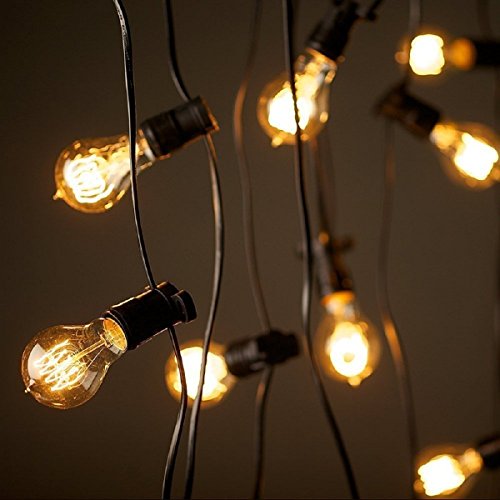 Edison Bulb A19 (4 Count)