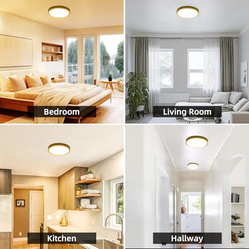 12 Inch Selectable CCT LED Round Flat Panel Light