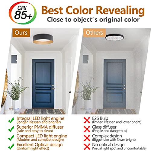 Flush Mount Ceiling Light