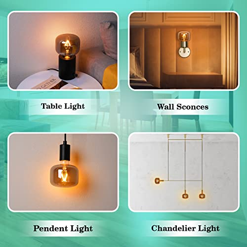Large Edison Bulbs E26 LED