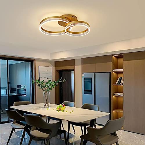 Chaners Ceiling Light Acrylic Ring Ceiling Light LED with Remote Control Dining Room Bedroom Lamp Living