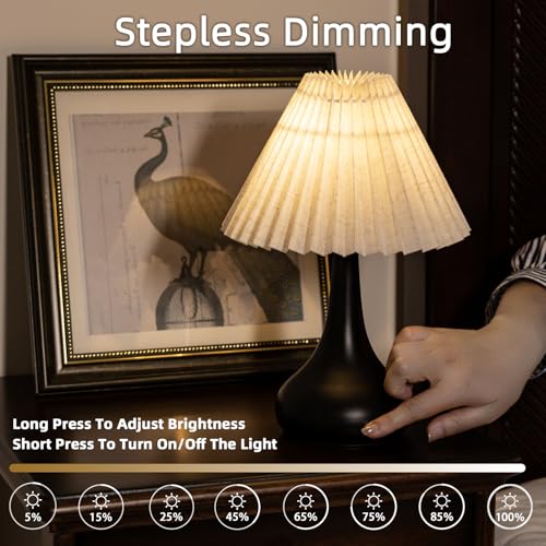 Pleated Cordless Table Lamp