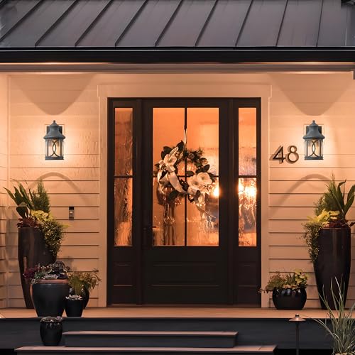 2 Pack Outdoor Wall Lights (2 Count)