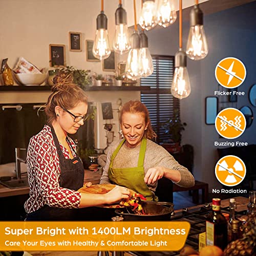 4 Pack Vintage LED Edsion Bulbs 100W Equivalent (4 Count)