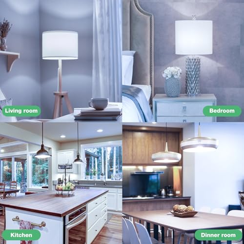 A19 LED Light Bulbs Daylight 5000K (12 Count)