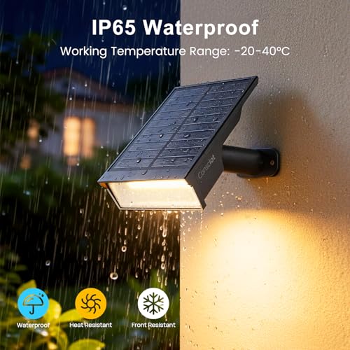 Solar Spot Lights (8 Count)