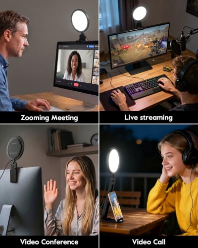 2 Pack Zoom Lighting for Computer (2 Count)