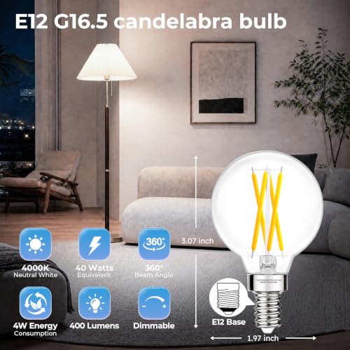 G16.5 Globe LED Bulb Dimmable