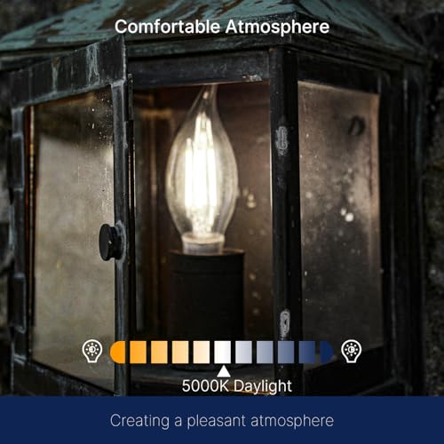 5000K Daylight LED Chandelier Edison Bulbs (6 Count)