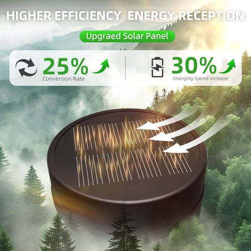 Solar Lights Outdoor (8 Count)